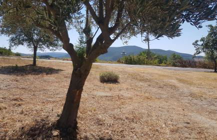 VILLA DUE TIGLI - Foto 72