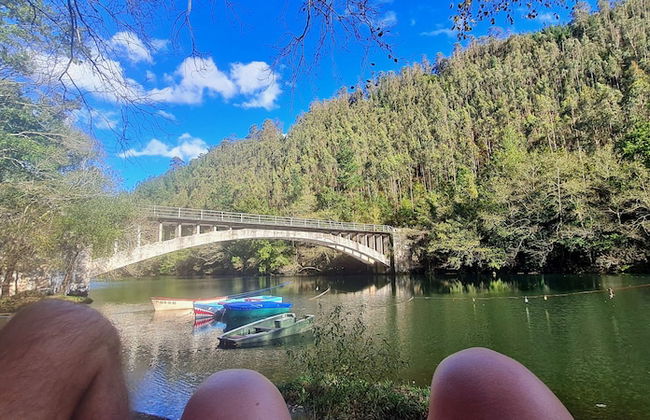 El Bosque de las Viñas - Foto 55