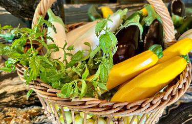 Domaine Epona - Foto 33