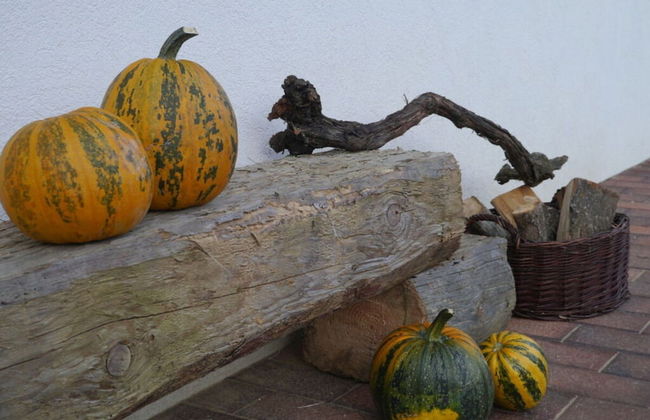 Kellerstockl am Hamerlberg/strem - Foto 16