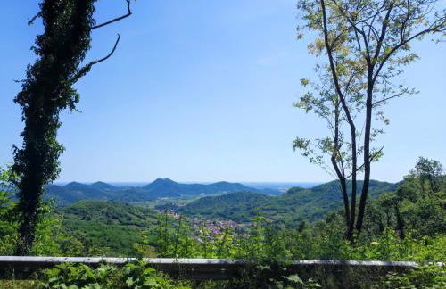 Residence Magnolia - Photo 17