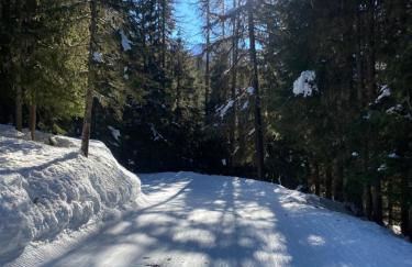 Les ARCS 1600 - SKI AUX PIEDS - MAGNIFIQUE DUPLEX 12 PERSONNES - Foto 59
