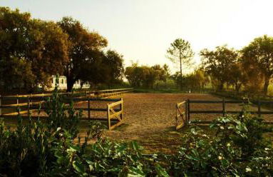 Quinta do Archino - Foto 15