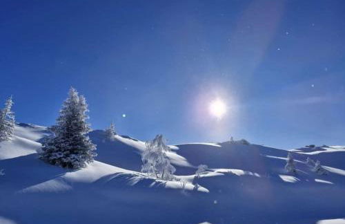 "Montagne Station Prapoutel" Vue Panoramique - Foto 25