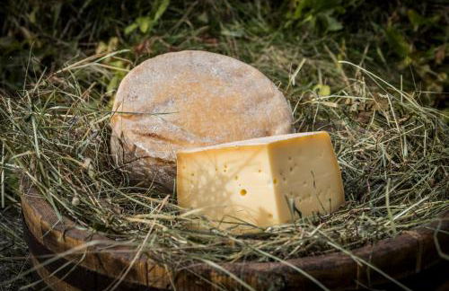 Agritur Ciasa Dò Parè - Foto 47