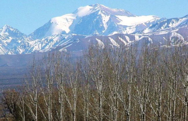 Valle de Calingasta Trip - Photo 2