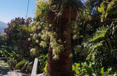 VILLA SILA - Foto 86