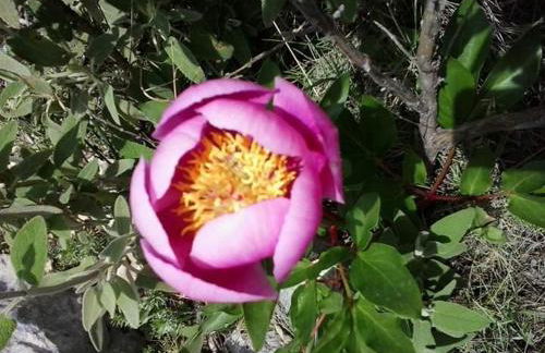 Villa Rural Campillo de Arenas - Foto 56