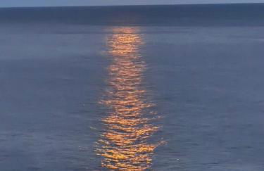 Alma do Mar - Soul of the Sea - Photo 17