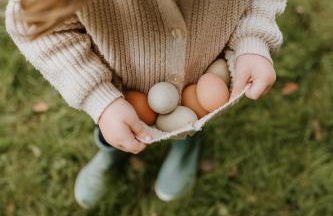 Gîtes du Bulz, en pleine forêt proche de la mer - Photo 76