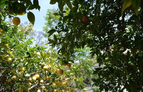 Casa Isla Tropical - Foto 9