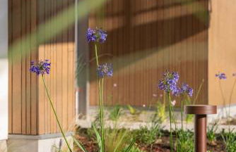 Dormideira - Foto 27