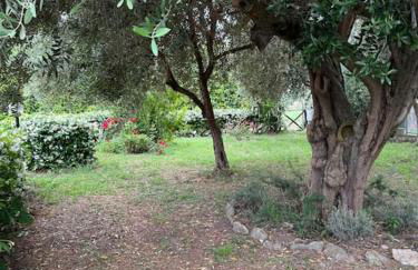 Casa 22 Paestum - Foto 37