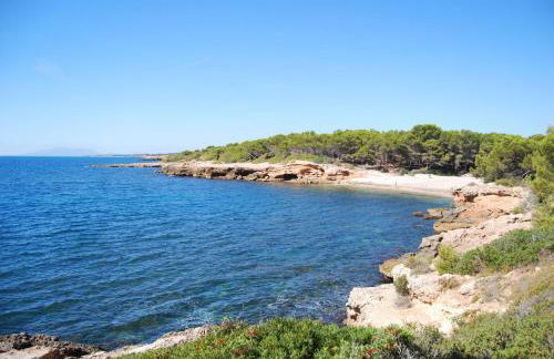 La Remulla - Foto 18