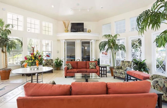 Sun Palm Paradise - Foto 53