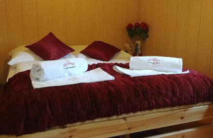 Sielanówek - Orzechowa Chatka z sauną wanną termalną jacuzzi - Foto 53