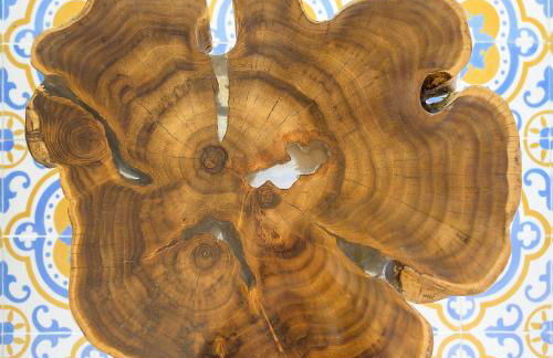 Casa da Antónia - Foto 26