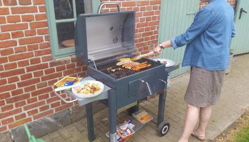 Ferienhof Gintoft - Foto 2