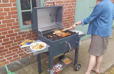 Ferienhof Gintoft - Foto 2