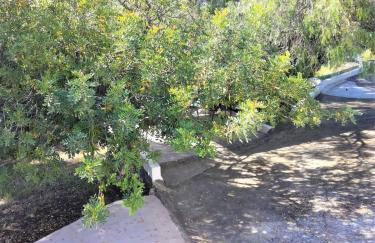 La Casa del bosque - Photo 27