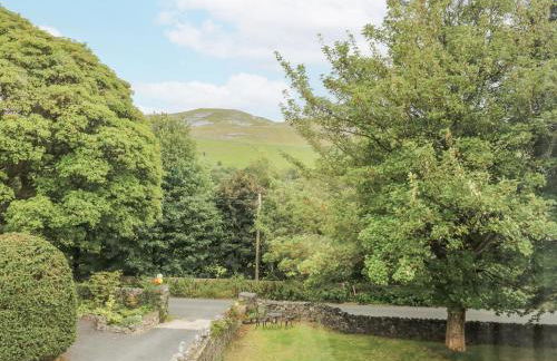 The Treetop - Foto 25