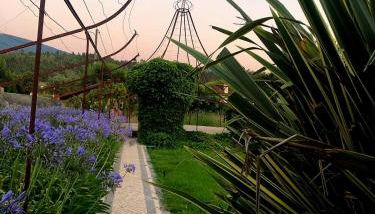 Vila Delfina - Foto 3, Garden