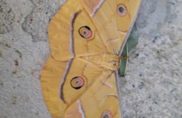 Vacation House Home, Plitvice Lakes National Park - Foto 56