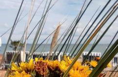 Garten-Ferienhaus Biendorf OT Westenbrügge - Foto 19