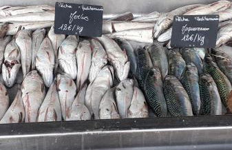 Casa azul & blanca - Foto 28