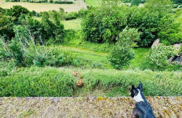la vallée du paradis studio avec balnéothérapie en campagne - Foto 38