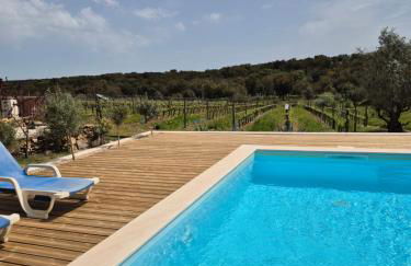 Monte das Aranhas - Foto 33