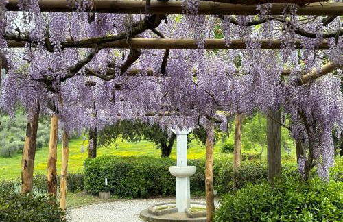 Villa Olea - Foto 14