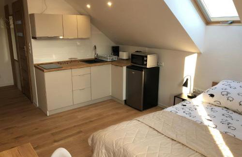 Apartamenty Asturia Rymanów Zdrój - Foto 25