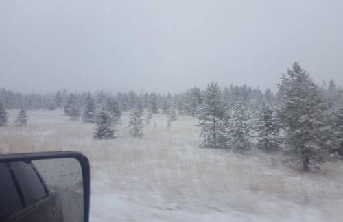 El Paraiso at Island Park - Foto 8