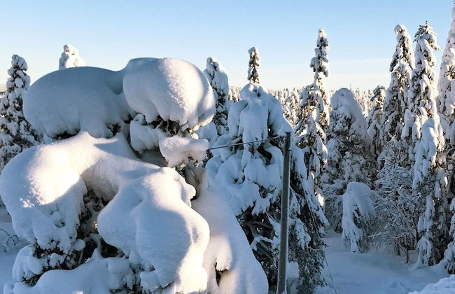 6 Person Holiday Home in Lampeland - Foto 12