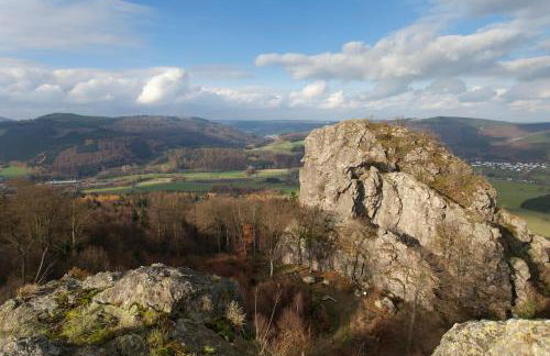 Family home with sauna, 12p - Foto 42