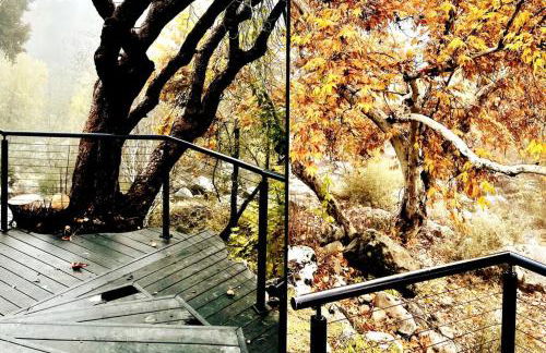 Paradise Ranch Inn- Limitless House Hot Tub,Sauna - Foto 22