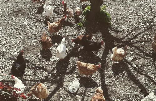 Casa Rural La Milagrosa - Photo 21