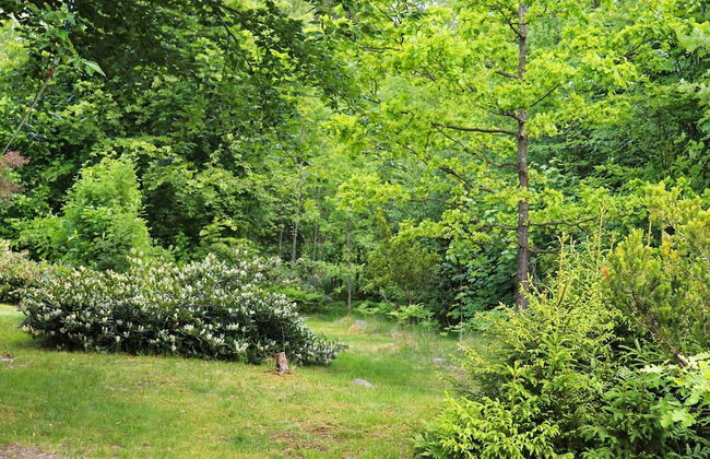 4 Person Holiday Home in Asljunga-by Traum - Foto 22