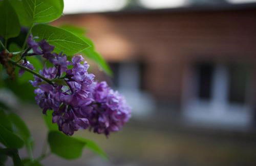 Garden-Loft Nürnberg - Foto 24