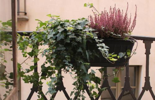 Centro Storico Home - Photo 11