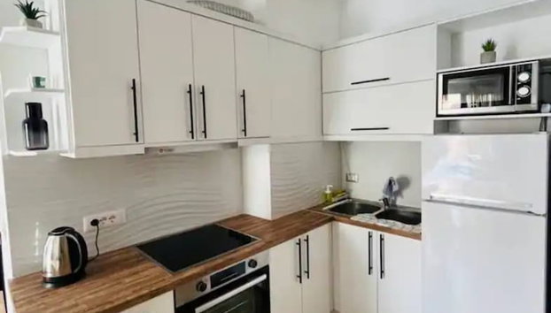 Studio Irina - Foto 3, Cocina privada