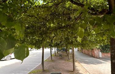 AMAO Obsidian - Business & Family Apartment - Foto 31