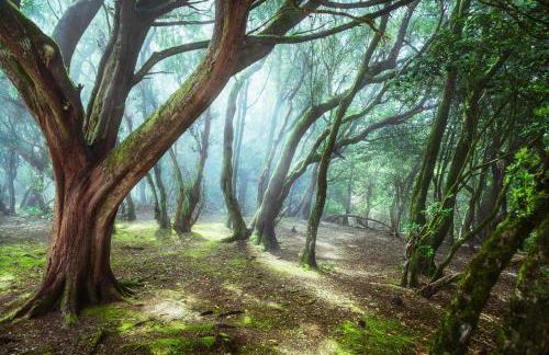 Finca rural House Tenerife Relax And Enjoy - Foto 74