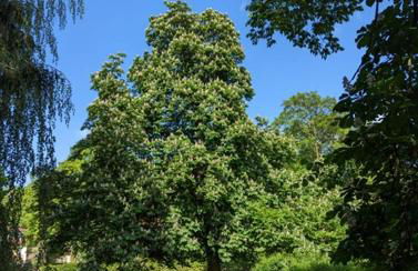 Gästehaus Reimold - Foto 23