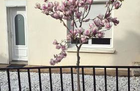 Maison Cosy à Chartres - Foto 8