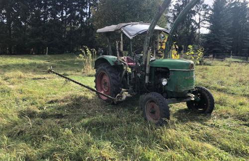 Öko-Fachwerkhaus am Schwarzwald - Foto 19