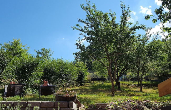 Charmantes Ferienhaus mit Naturgarten - Foto 19