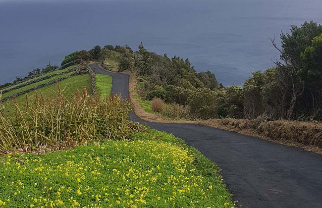 Trekking all'isola Flores - Foto 7