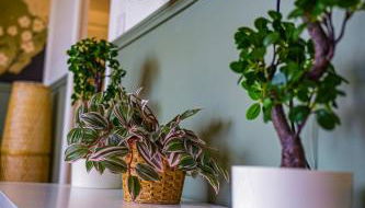 Le Jardin Suspendu - Foto 5